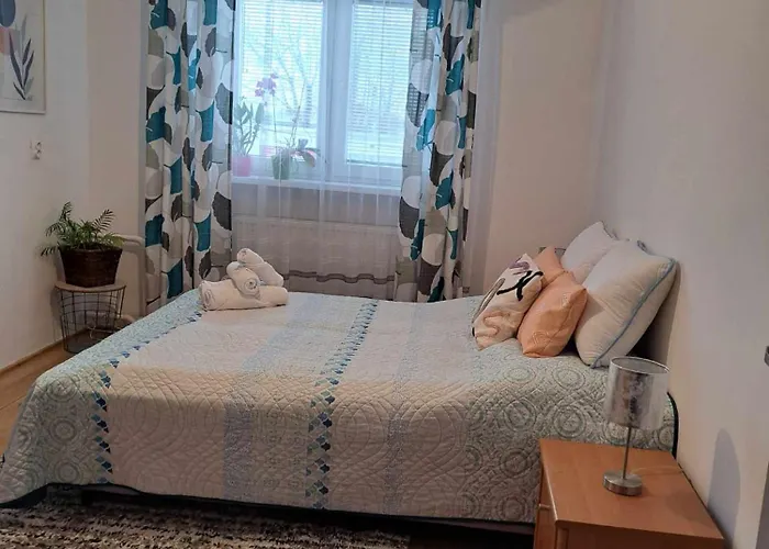 Cozy Town Center Retreat Appartamento *