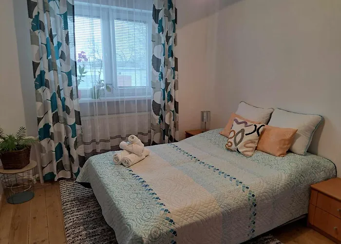 Cozy Town Center Retreat Appartamento *